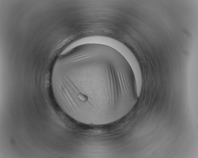X0000113900356200910221443