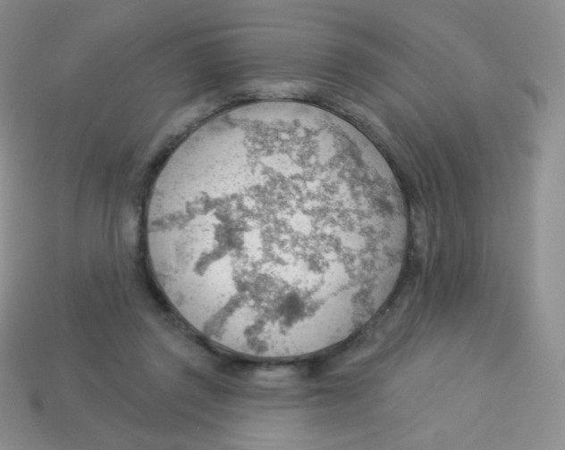 X0000113900357200910221443