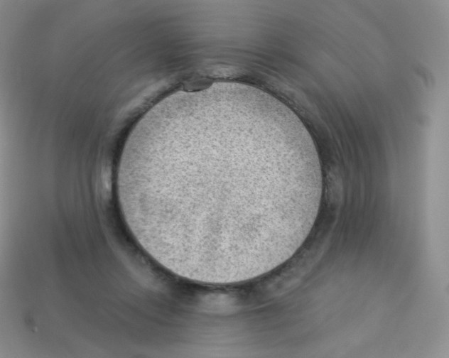 X0000113900358200910221443