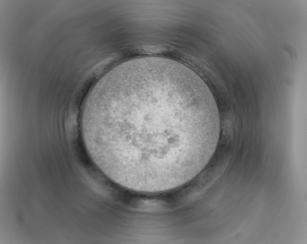 X0000113900360200910221443