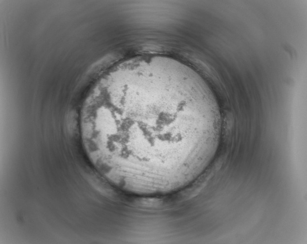 X0000113900361200910221443