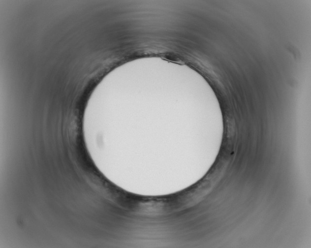 X0000113900362200910221443