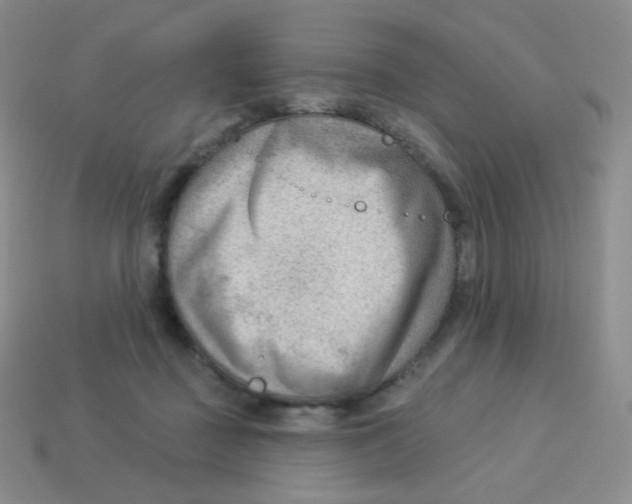 X0000113900363200910221443