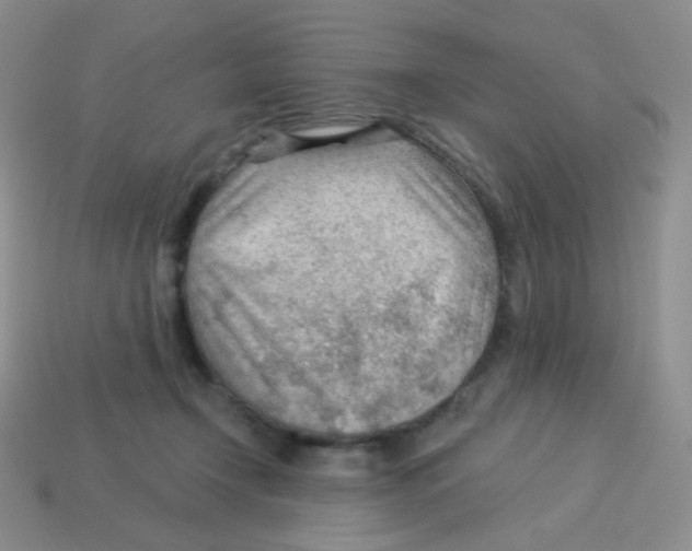 X0000113900366200910221443