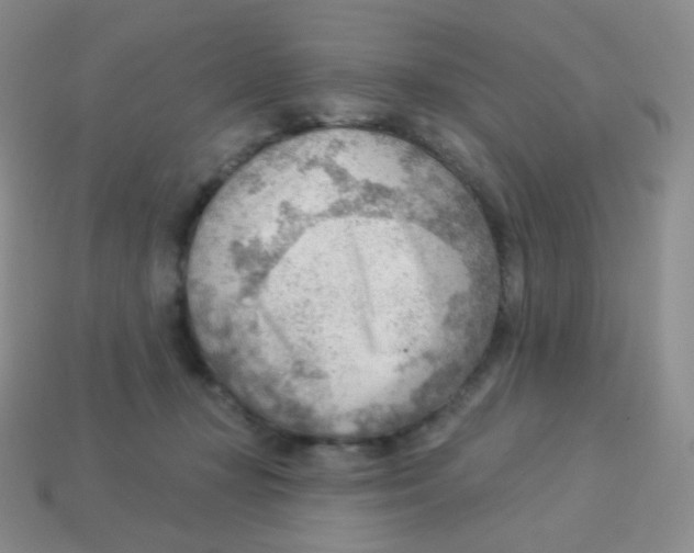 X0000113900367200910221443