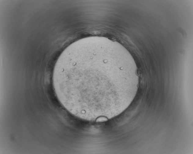 X0000113900368200910221443