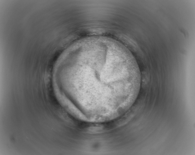 X0000113900369200910221443