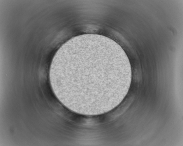 X0000113900370200910221443