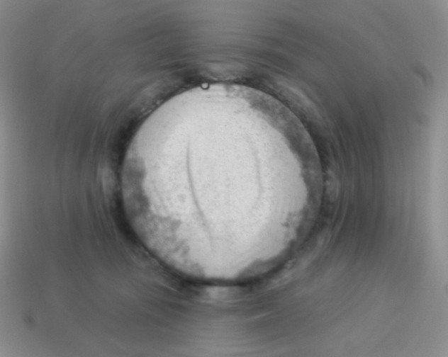 X0000113900371200910221443