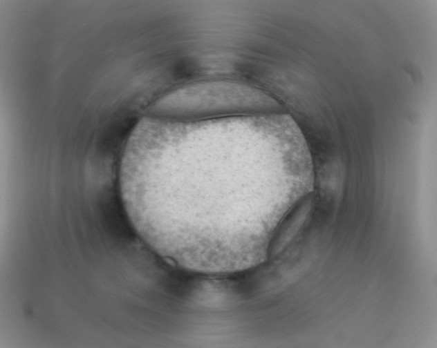 X0000113900372200910221443