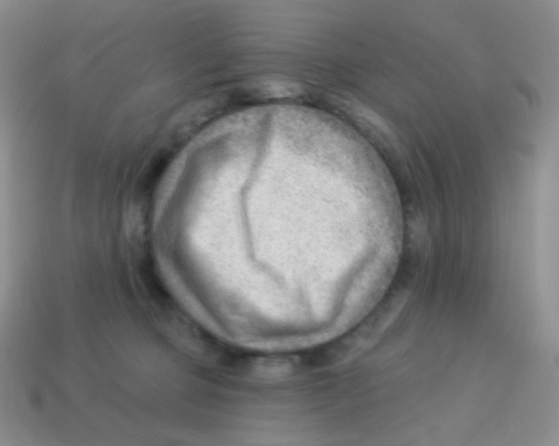 X0000113900373200910221443