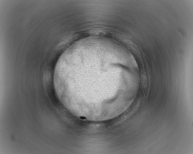 X0000113900375200910221443