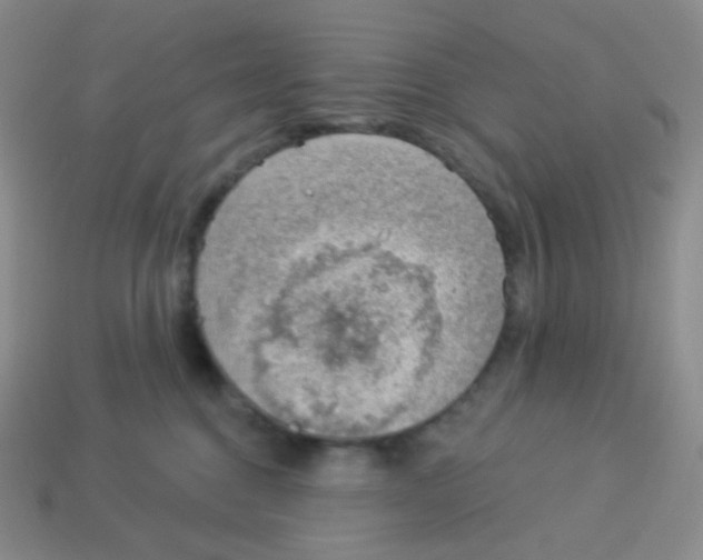 X0000113900376200910221443