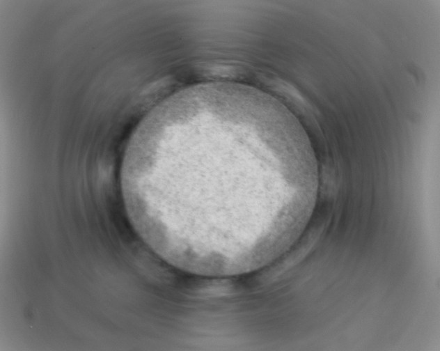 X0000113900377200910221443
