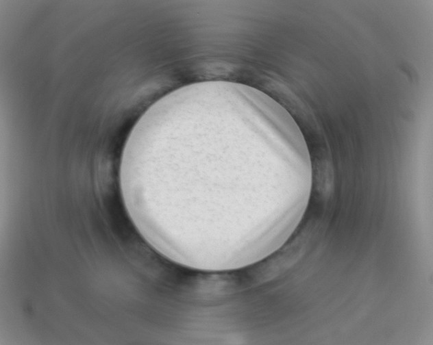 X0000113900378200910221443