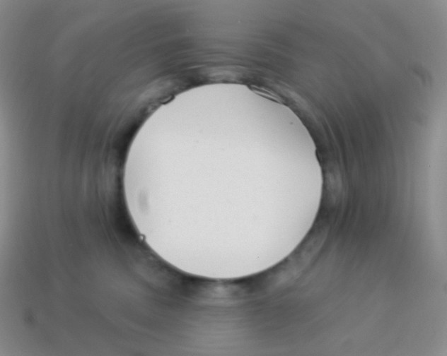 X0000113900379200910221443