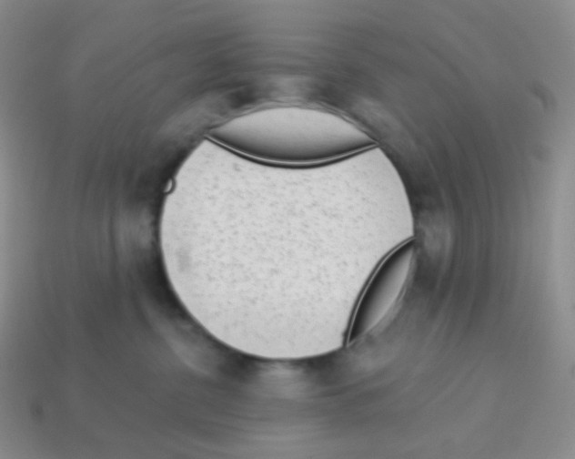 X0000113900380200910221443