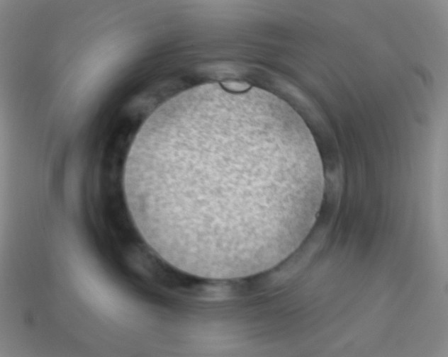 X0000113900381200910221443