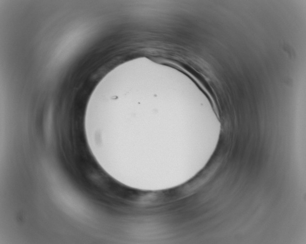 X0000113900382200910221443