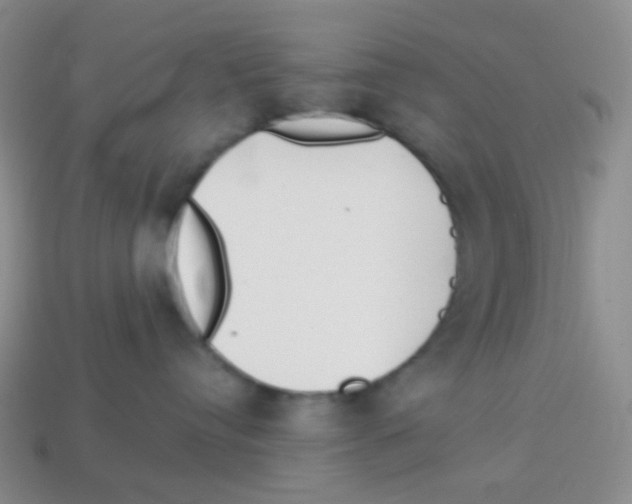 X0000113900384200910221443