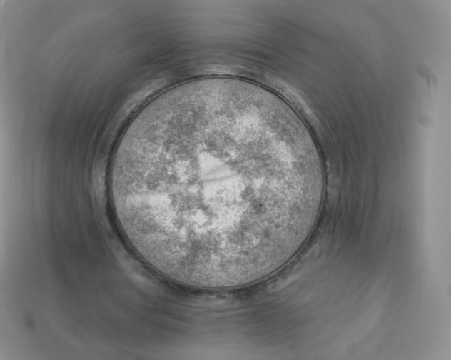 X0000113900386200910221443