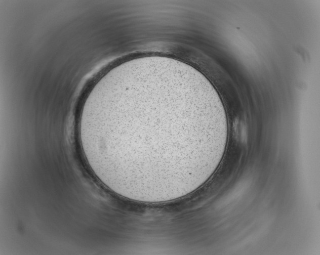 X0000113900388200910221443