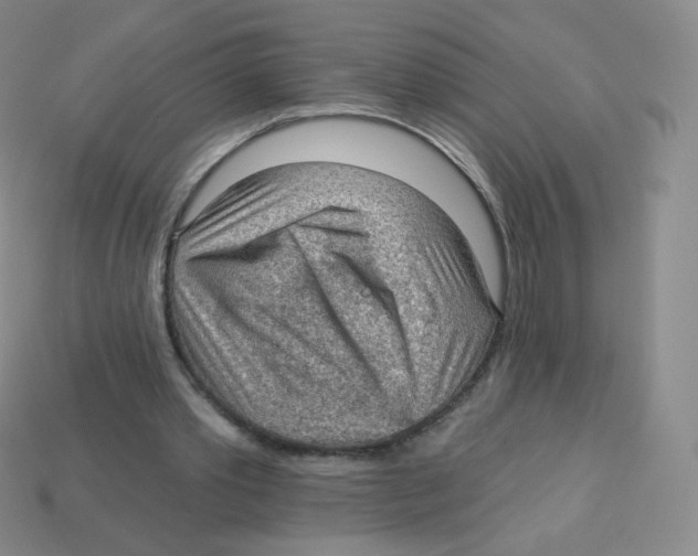 X0000113900389200910221443
