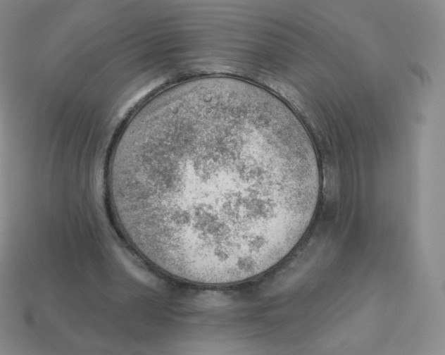 X0000113900390200910221443