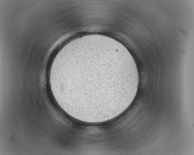 X0000113900392200910221443
