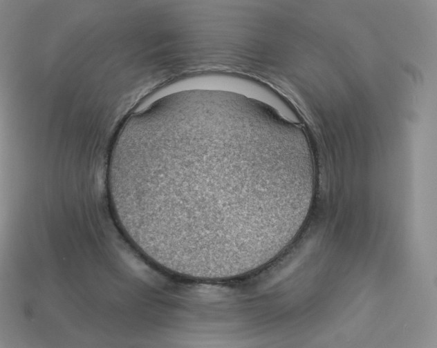 X0000113900393200910221443