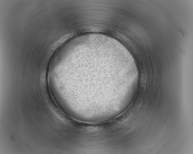 X0000113900394200910221443