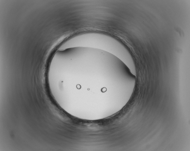 X0000113900395200910221443