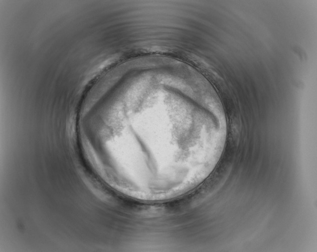 X0000113900398200910221443