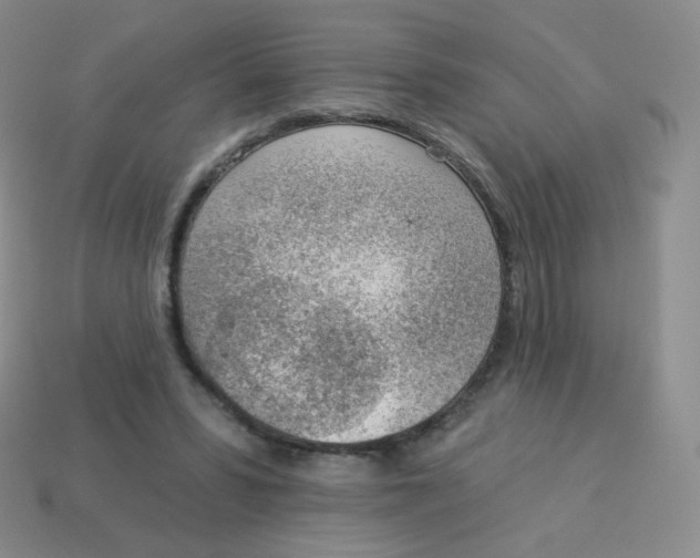 X0000113900399200910221442