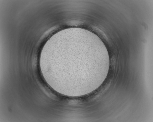 X0000113900400200910221442