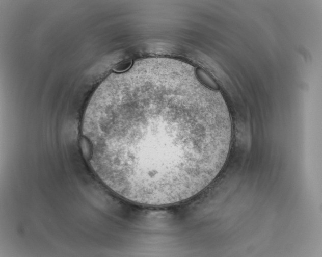X0000113900401200910221442