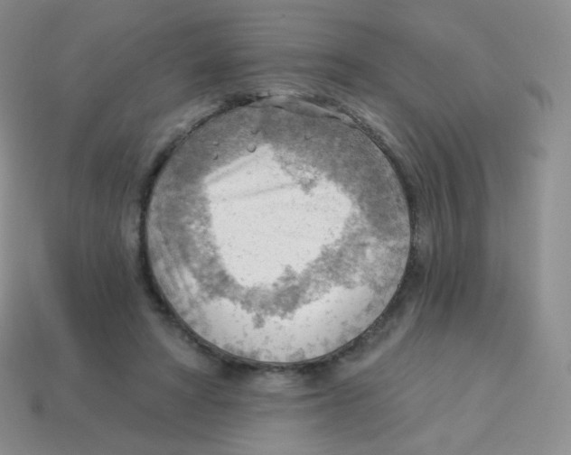 X0000113900402200910221442