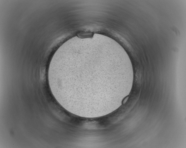 X0000113900403200910221442