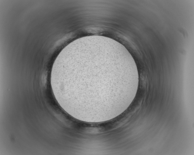 X0000113900404200910221442