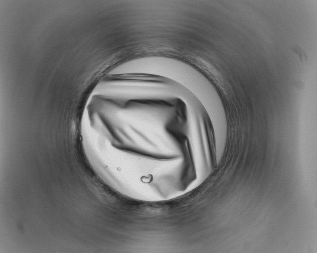 X0000113900405200910221442