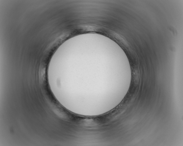 X0000113900406200910221442