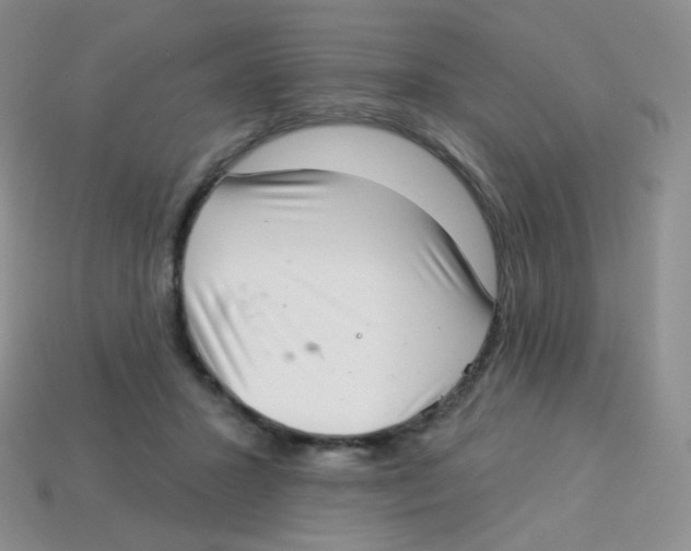 X0000113900407200910221442