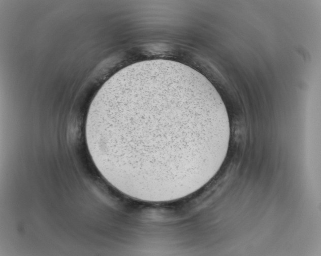 X0000113900408200910221442
