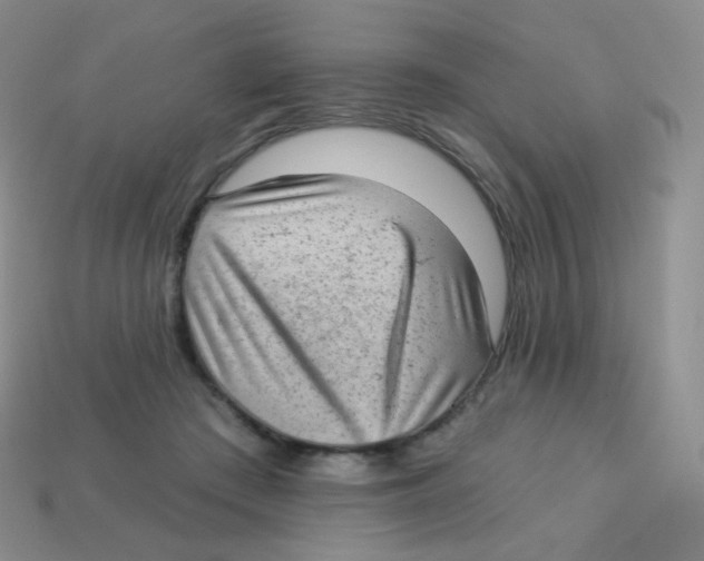 X0000113900409200910221442