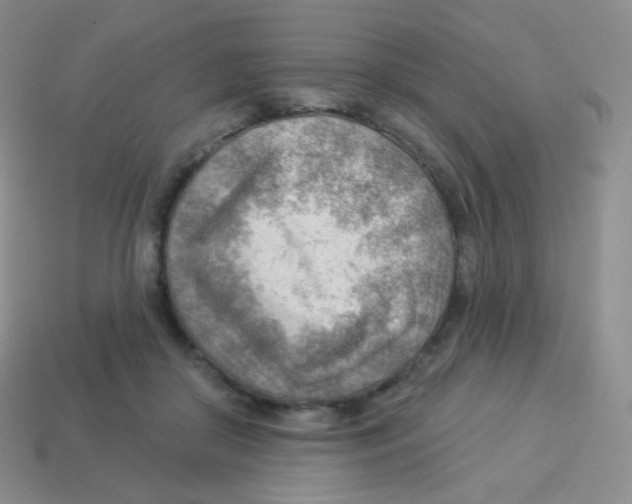 X0000113900410200910221442