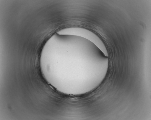 X0000113900411200910221442