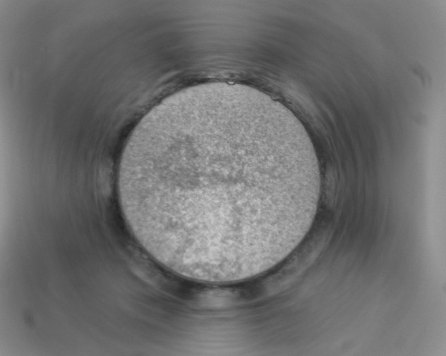 X0000113900413200910221442