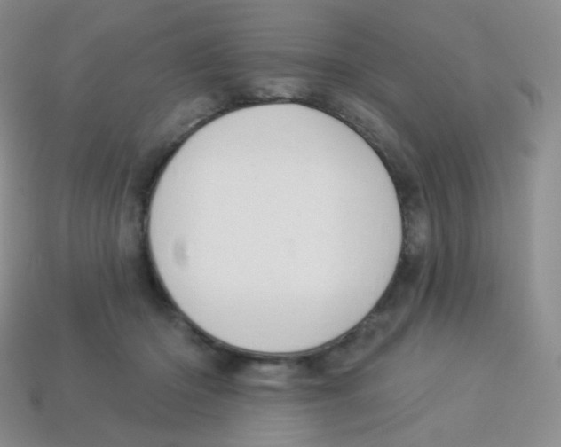 X0000113900414200910221442