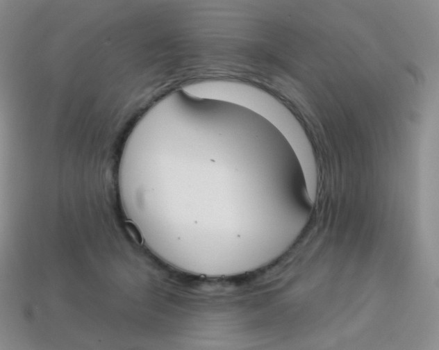 X0000113900415200910221442