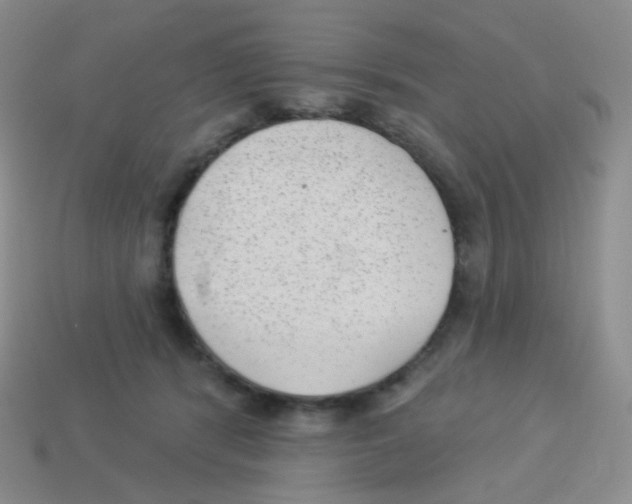 X0000113900416200910221442